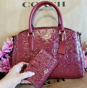 Coach purse shoulder bag handbag Crossbody set